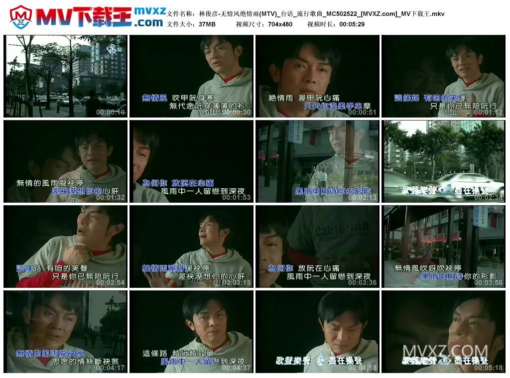 林俊彦-无情风绝情雨(MTV)_台语_流行歌曲_MC502522
